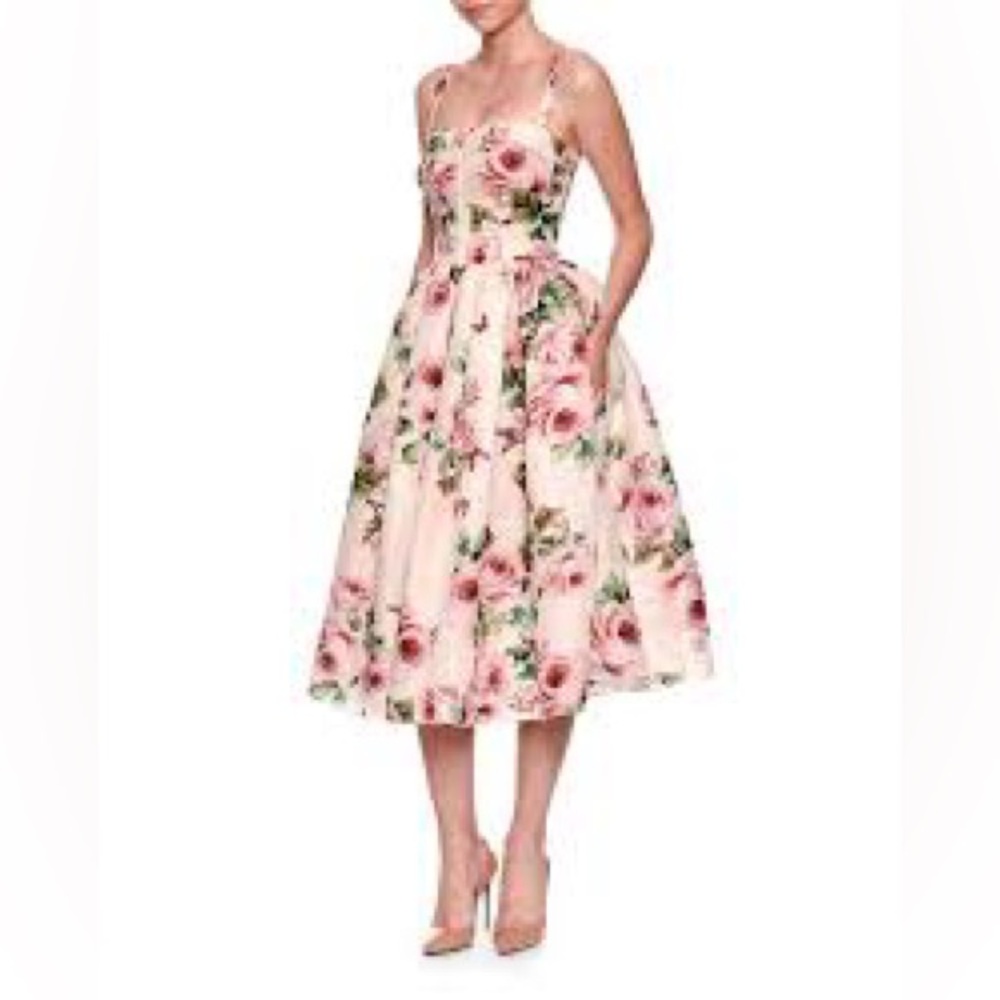 Rose-Print Organza Cocktail Dress